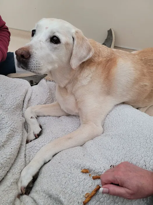 Laurelwood Animal Hospital: Erdman Lynn F DVM 12