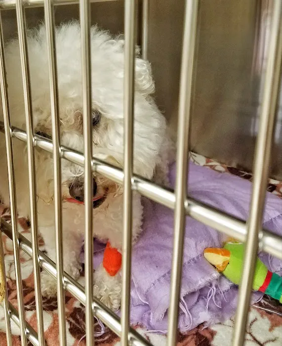 Oregon Veterinary Specialty Hospital 12
