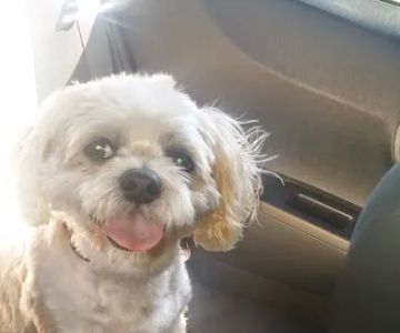 Banfield Pet Hospital