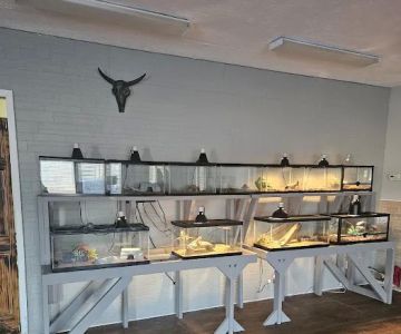 The Raging Reptile Room