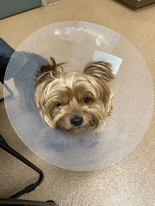 Beaverton Pet Clinic 12