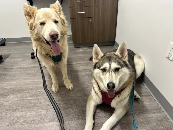 Beaverton Pet Clinic 12