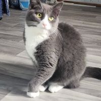 Best Care Animal Hospital ico