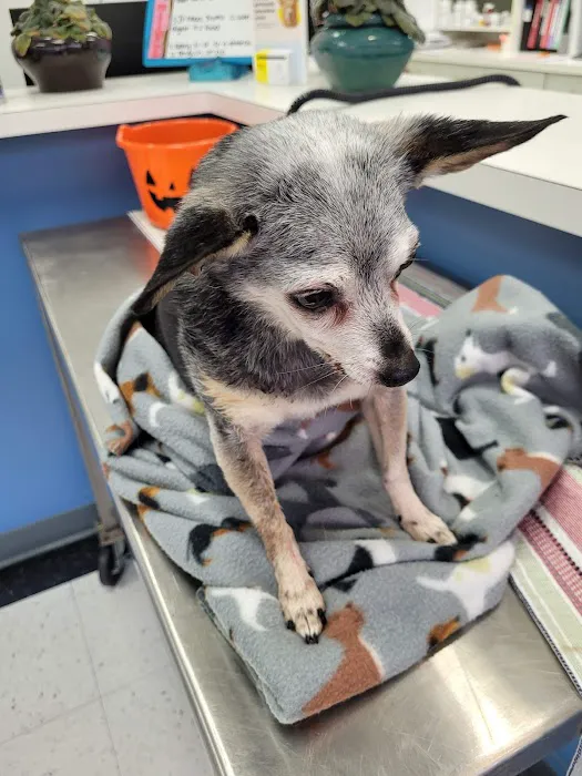 Best Care Animal Hospital 8