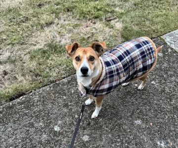Cedar Mill Veterinary Hospital