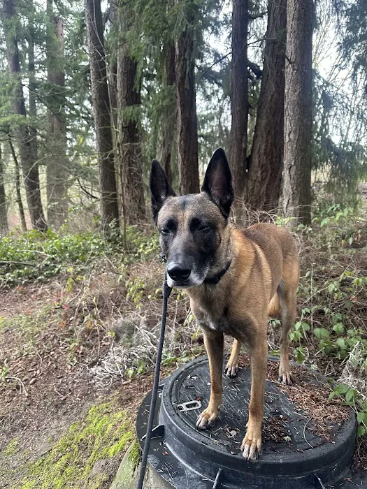 Cedar Mill Veterinary Hospital 5