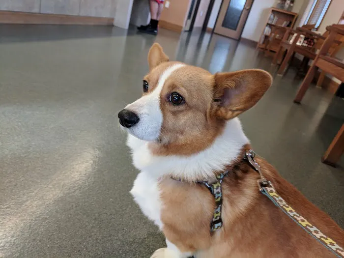 Cedar Mill Veterinary Hospital 2