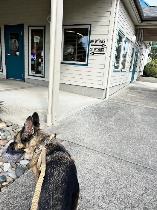 Cedar Mill Veterinary Hospital 3