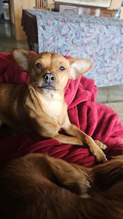 Banfield Pet Hospital 9