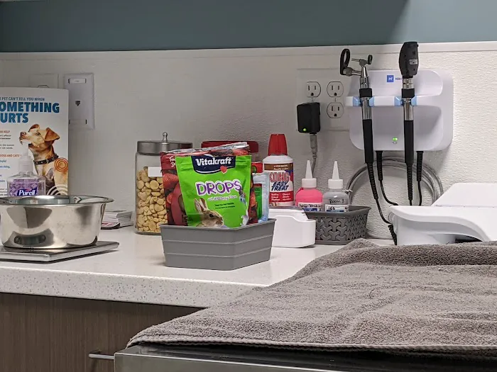 Amberglen Pet Care 12