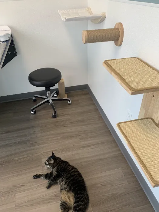 Amberglen Pet Care 12