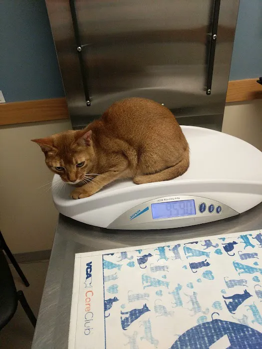 VCA Rock Creek Animal Hospital 2