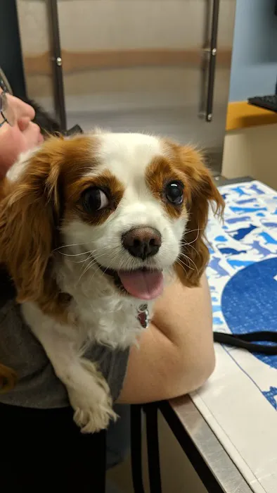 VCA Rock Creek Animal Hospital 3