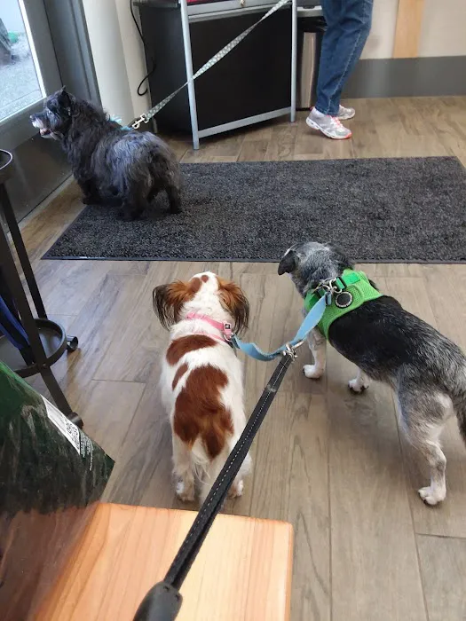VCA Rock Creek Animal Hospital 8