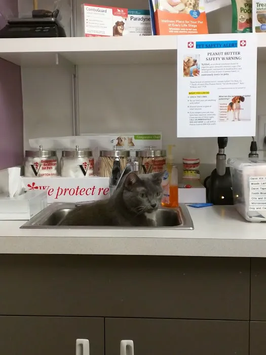 VCA Rock Creek Animal Hospital 6