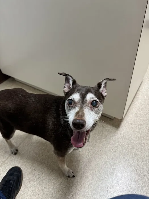 Powell Veterinary Center 1