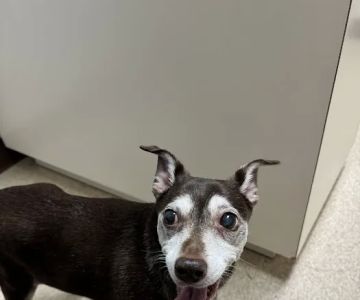 Powell Veterinary Center