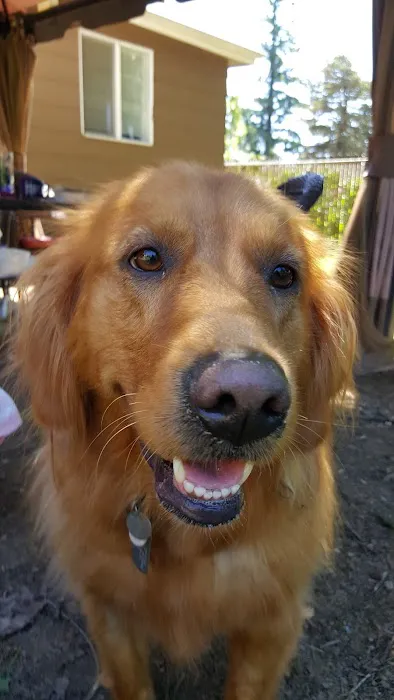 Powell Veterinary Center 8