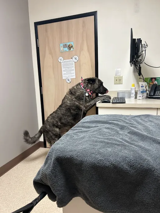 Powell Veterinary Center 2