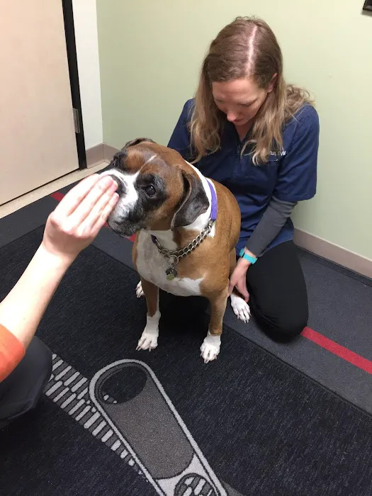 Powell Veterinary Center 4