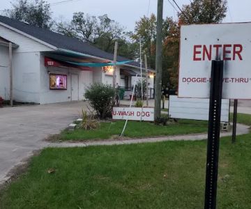 DOGGIE-DRIVE-THRU..........Kitty's too!