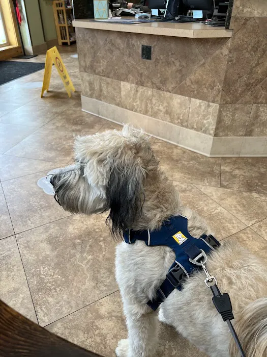 Alder Creek Veterinary Clinic 12