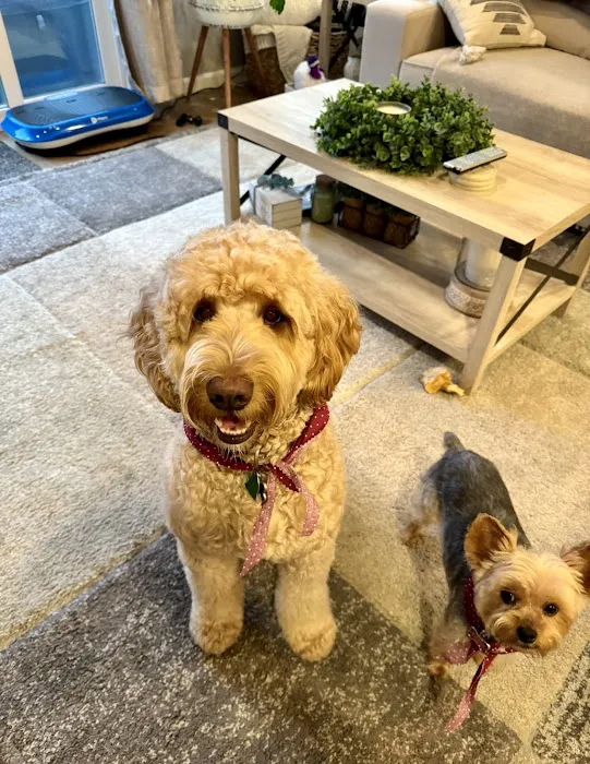 Alder Creek Veterinary Clinic 12