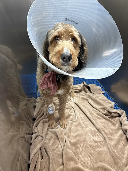 Alder Creek Veterinary Clinic 12