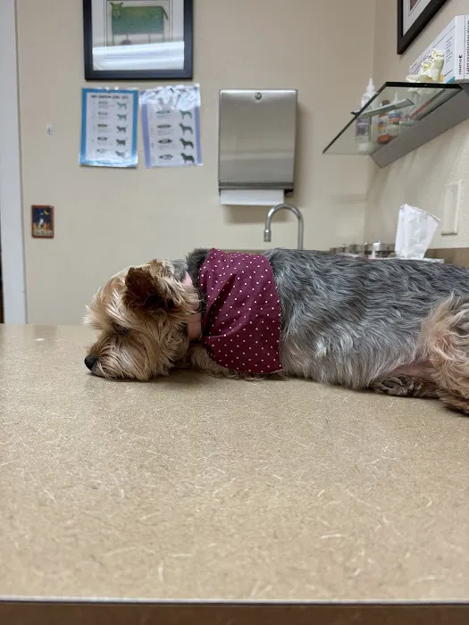 Alder Creek Veterinary Clinic 12