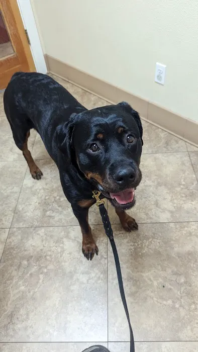 Alder Creek Veterinary Clinic 12