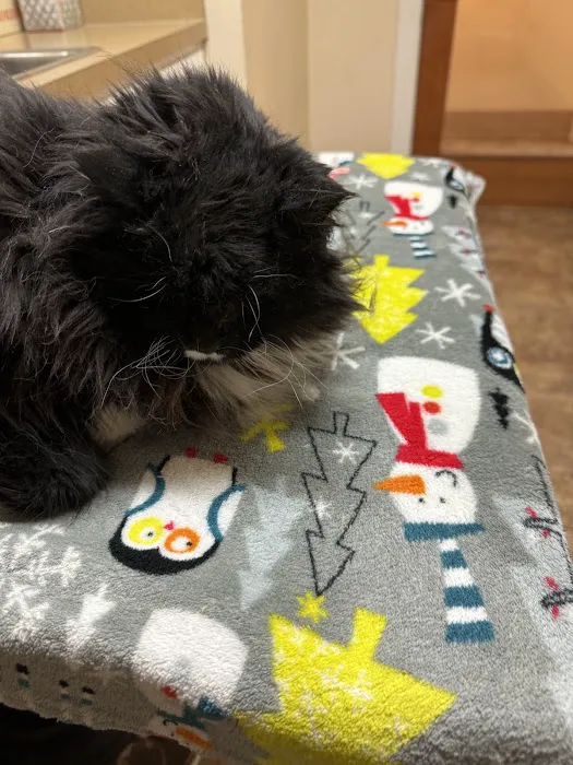 Alder Creek Veterinary Clinic 12