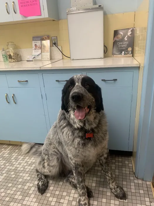 Columbia Veterinary Clinic 2