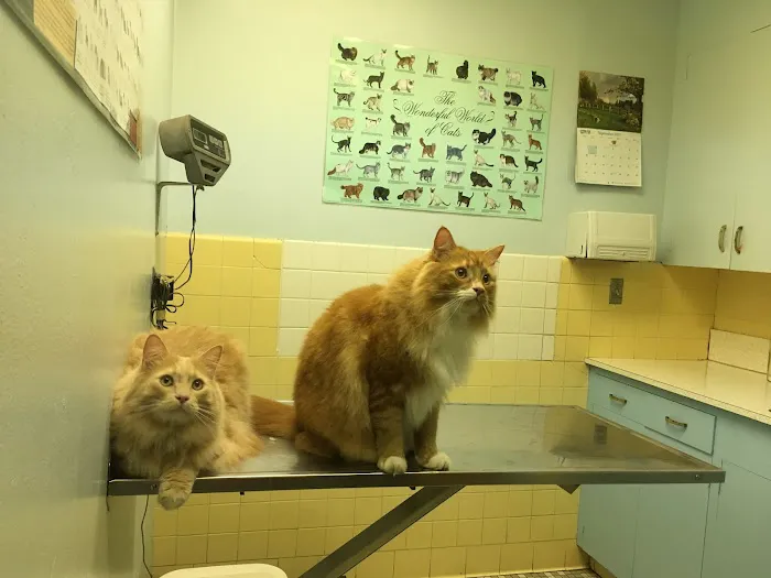 Columbia Veterinary Clinic 1