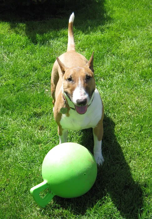 Columbia Veterinary Clinic 4