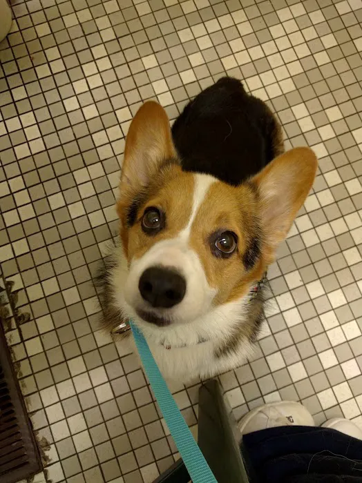 Columbia Veterinary Clinic 6