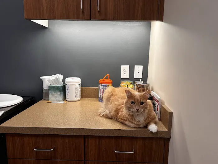 Red Maple Animal Hospital 12