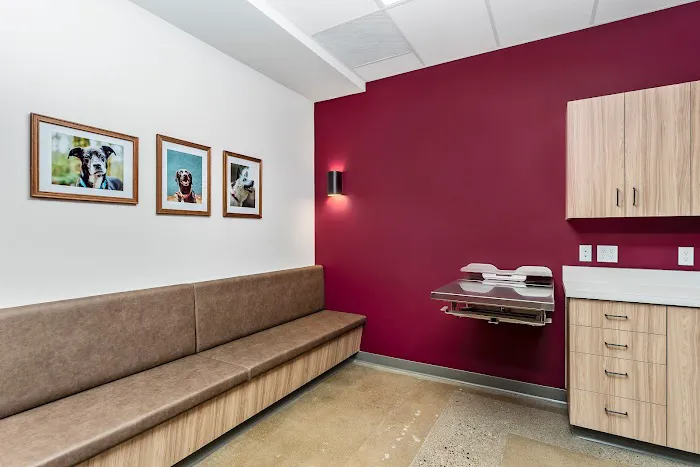 Sadie Veterinary Urgent Care 1