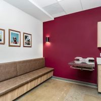 Sadie Veterinary Urgent Care ico