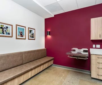 Sadie Veterinary Urgent Care