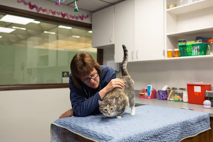 Sunstone Veterinary Specialists 10