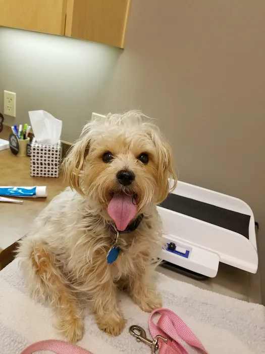 Sunstone Veterinary Specialists 9