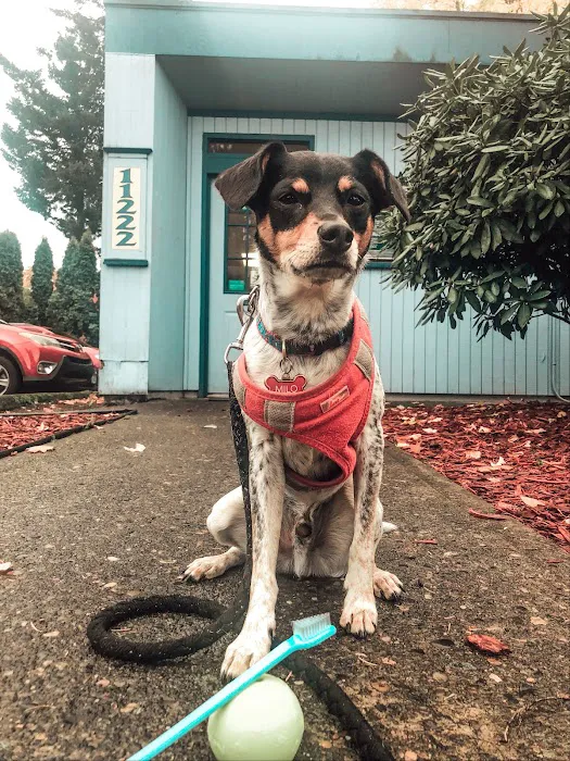 Gateway Veterinary Hospital 7
