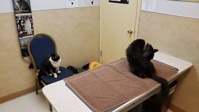 Gateway Veterinary Hospital 4