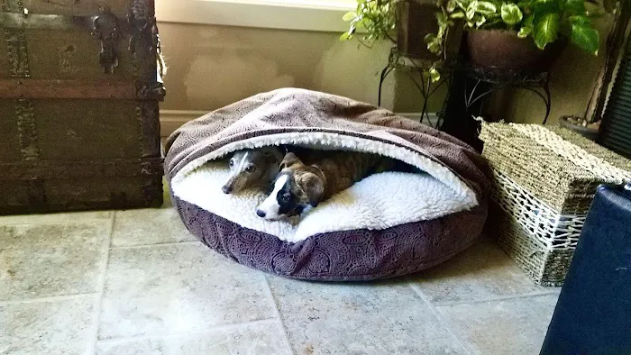 Gateway Veterinary Hospital 1