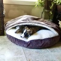 Gateway Veterinary Hospital ico