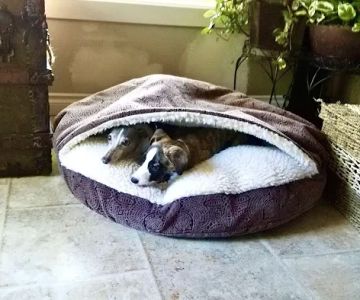 Gateway Veterinary Hospital