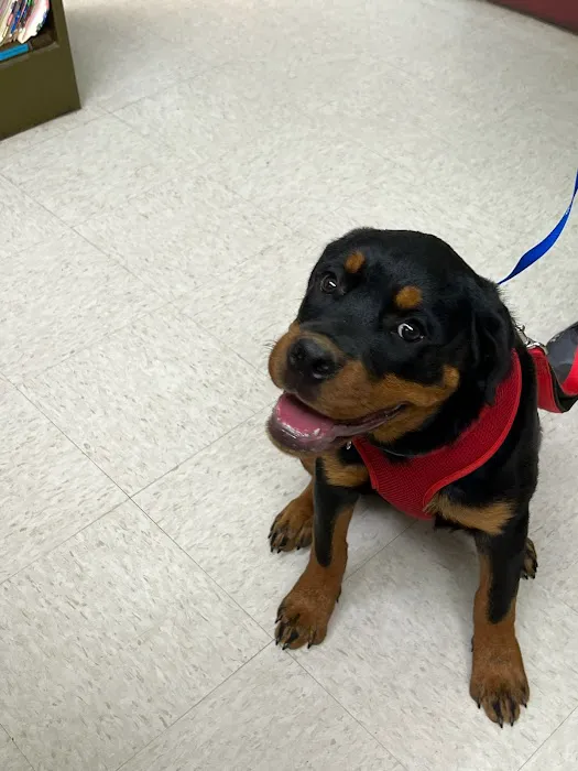 Gateway Veterinary Hospital 9
