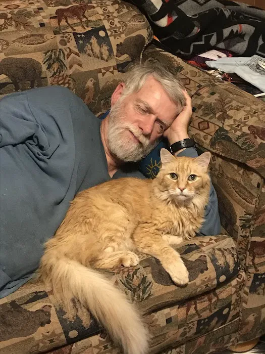 Argay Cat Clinic 1