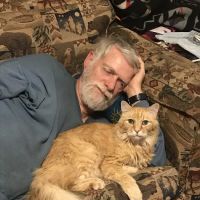Argay Cat Clinic ico