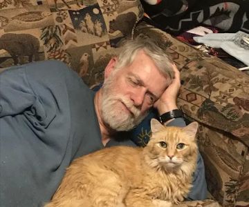 Argay Cat Clinic